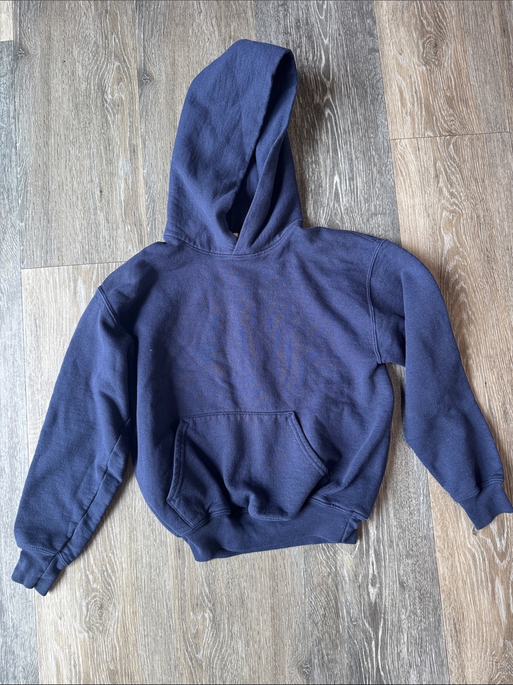 Hanes EcoSmart Deep Blue Hooded Sweatshirt